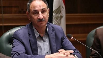 مجدي ملك: الشعب سيخرج في ملحمة تاريخية للاستفتاء على الدستور