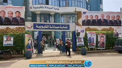 ننشر بالأسماء نتيجة انتخابات التجديد النصفي لنقابة صيادلة القليوبية (صور)