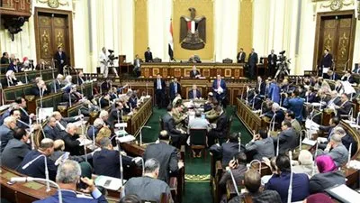 أسباب تدفعك للمشاركة في الاستفتاء على التعديلات الدستورية.. ما هي؟