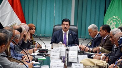 محافظ القليوبية: جاهزون للاستفتاء بـ 546 مقر انتخابي.. ومظلة وكراسي أمام المقار