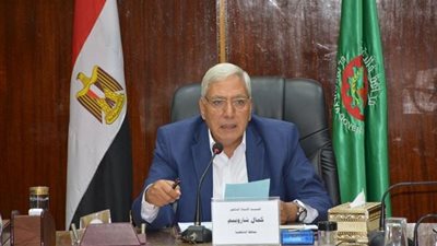 محافظ الدقهلية يشارك أبناء السنبلاوين المسيرة الوطنية بشارع المدينة