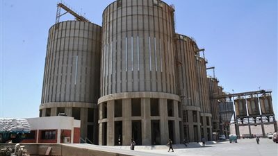 محافظ سوهاج يعلن توريد 23 طن قمح خلال يومين من بدء الإنتاج