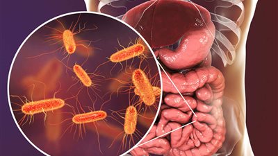 بكتيريا الأمعاء تحدد انفعالاتك.. والمضادات الحيوية تمحوها