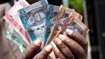 الجنيه السوداني يرتفع في السوق السوداء بعد الإطاحة بالبشير