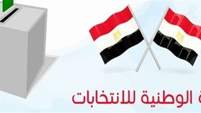 عاجل.. بدء تصويت أبناء الجالية المصرية بالصين في الاستفتاء على التعديلات الدستورية  