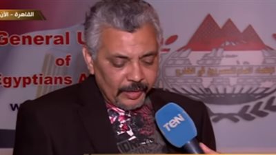 المصريين في الخارج: المواطنون يُقبلون على الاستفتاء بأسرهم وكأنها رحلة