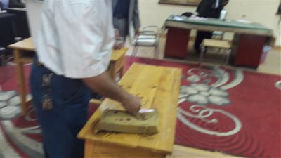 بدء التصويت على التعديلات الدستورية بسوهاج (صور)