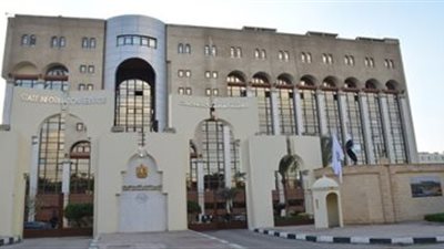 هيئة الاستعلامات: استفتاء الدستور شهد تغطية واسعة من الإعلام الأجنبي