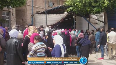 السيدات يسيطرن على المشهد الانتخابي أمام لجان الإسكندرية (فيديو وصور)