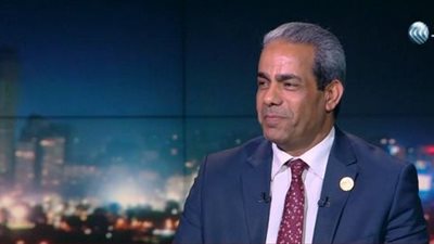 برلماني: مصر الدولة الوحيدة التي وقفت في حلق الاستعمار الجديد