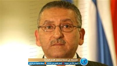 سفيرنا بـ واشنطن: صوت المصري في الخارج يساوي 4 أضعاف المتواجد بالداخل