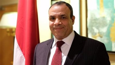 سفيرنا بـ ألمانيا: اليوم الثاني للاستفتاء مر بسلام دون أي منغصات