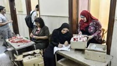 مسيرات بالقاهرة لحث المواطنين على المشاركة في التعديلات الدستورية