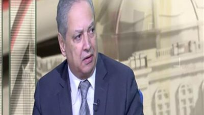 أستاذ علوم سياسة: الاستفتاء على التعديلات الدستورية يحظى باهتمام إقليمي ودولي 