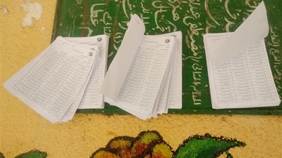 كشوفات أمام اللجان الانتخابية لتسهيل المشاركة بالاستفتاء بشبرا مصر