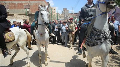 أهالي بيلا يستقبلون محافظ كفر الشيخ بالخيول والمزمار البلدي 