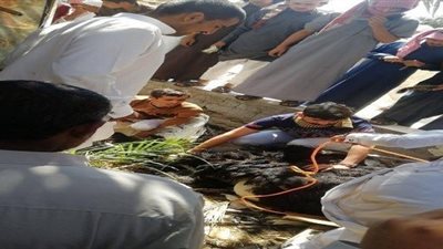 نعامة تتسبب في حالة من الفوضى في شوارع حائل