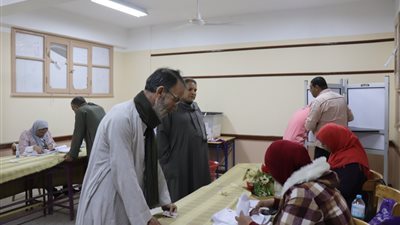 تزايد أعداد المصوتين خلال الساعة الأخيرة قبل غلق صناديق الاستفتاء بقنا (صور)
