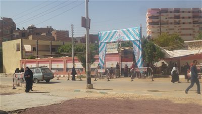 بدء فتح لجان الاستفتاء على التعديلات الدستورية بالوادي الجديد