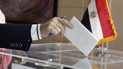 الهيئة الوطنية للانتخابات تُقدم للناخبين خطوات البحث عن مكان اللجنة للاستفتاء 
