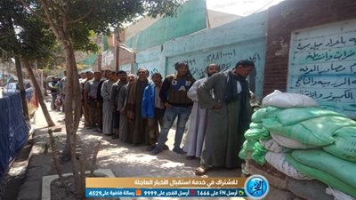 العمال يتوافدون على مدرسة أحمد زويل بإمبابة للمشاركة بالاستفتاء (فيديو وصور)