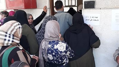 إقبال كبير من المغتربين على لجان الاستفتاء بالدقهلية 