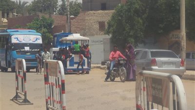 طفطف الأطفال الرقاص يجوب شوارع الوادي الجديد للمشاركة في الاستفتاء على الدستور (فيديو وصور)