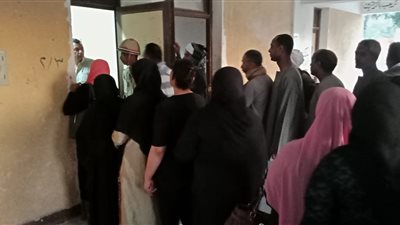 تزايد أعداد المواطنين على لجان الاستفتاء في الساعات الأخيرة بالأقصر (صور)