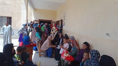 السيدات يتصدرن المشهد للإدلاء بأصواتهن بقرية الونايسة بالفيوم (صور)