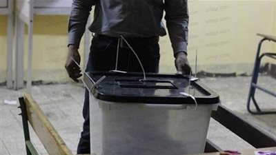 غلق لجان الاستفتاء بالوادي الجديد في ثالث يوم 
