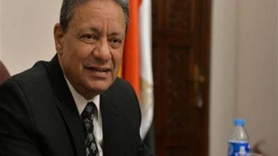 كرم جبر: رقص الناخبين أمام لجان الاستفتاء عادة مصرية