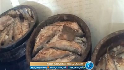 ضبط 25 طن فسيخ ورنجة فاسدة بمصانع غير مرخصة بالجيزة
