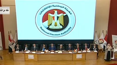 الوطنية للانتخابات: فرز استفتاء التعديلات الدستورية جرى على مرأى ومسمع العالم