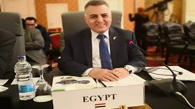 مصر تشارك باجتماعات المبادرة الأفريقية للطاقات المتجددة في غينيا