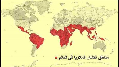 في اليوم العالمي للملاريا.. ماهي البلدان الأكثر تضررًا بالمرض؟