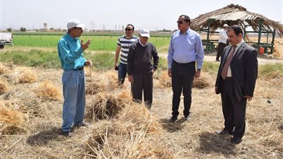 رئيس جامعة سوهاج يهنئ المصريين بذكري تحرير سيناء.. ويتابع بدء موسم القمح 