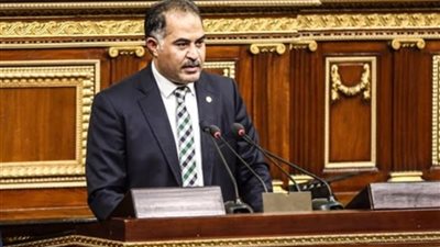 وكيل البرلمان: تحرير سيناء من الأيام القارقة في تاريخ مصر