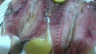 رحلة الفسيخ على موائد المصريين.. الليلة مع عمرو عبدالحميد على TeN