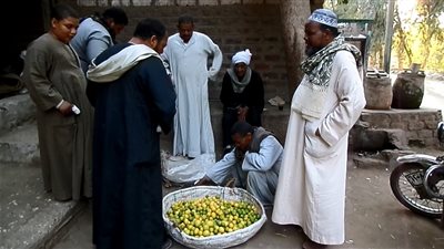 وجبة الفسيخ والأسماك المملحة ترفع مبيعات 