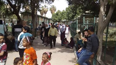 شم النسيم 2019.. أهالي بني سويف يتوافدون على الحدائق والأندية والمراكب النيلية (صور)