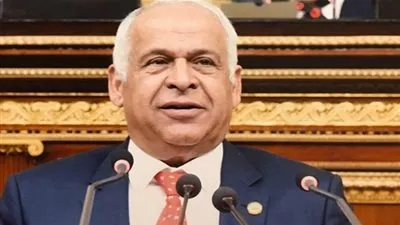 فرج عامر: سأتقدم بطلب إحاطة إلى مجلس النواب بشأن أسعار تذاكر أمم إفريقيا