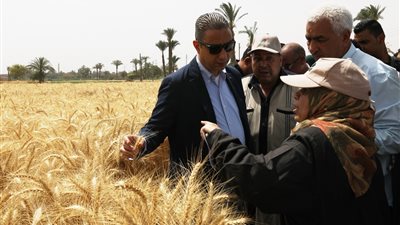 محافظ سوهاج يشهد حصاد القمح بالحقل الإرشادي بقرية البخايتة (صور)