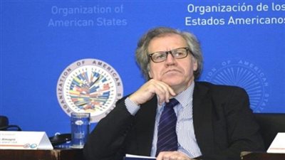 منظمة الدول الأمريكية تدعم انضمام الجيش الفنزويلي إلى جوايدو