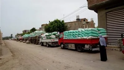 توريد ٢٣ ألف طن قمح لشون وصوامع الدقهلية
