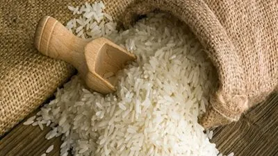 ارتفاع حجم استيراد مصر من الأرز والفول خلال الربع الأول من عام 2019