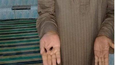 بعد اجتياحها عدة محافظات.. ظهور الخنفساء السوداء في الأقصر (صور) 