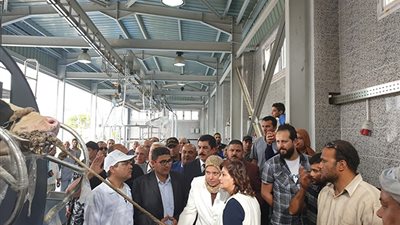 نائب وزير الزراعة:خطة لتطوير كافة المجازر بالمحافظات والقليوبية محظوظة بمزارع الدواجن