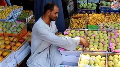 أسعار الفاكهة اليوم الإثنين في محافظة الإسماعيلية