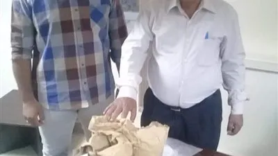 إحباط تهريب 46400 ألف قرص مخدر مخفاة داخل أكياس لب وسوداني بميناء سفاجا 