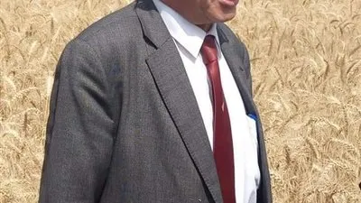 زراعة الفيوم: المساحات المنزرعة والتي تم حصادها من محصول القمح تتخطي الأعوام السابقة 